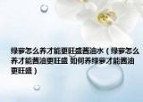 綠蘿怎么養(yǎng)才能更旺盛醬油水（綠蘿怎么養(yǎng)才能醬油更旺盛 如何養(yǎng)綠蘿才能醬油更旺盛）
