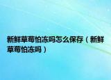 新鮮草莓怕凍嗎怎么保存（新鮮草莓怕凍嗎）