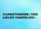 怎么樣鑒定竹雞是真是假（竹雞怎么辨認好壞 竹雞如何辨認好壞）