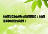 如何鑒別龜板的真假圖解（如何鑒別龜板的真假）