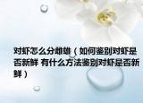 對蝦怎么分雌雄（如何鑒別對蝦是否新鮮 有什么方法鑒別對蝦是否新鮮）