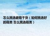 怎么挑選蘑菇干貨（如何挑選好的菇類 怎么挑選菇類）