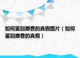 如何鑒別麝香的真假圖片（如何鑒別麝香的真假）