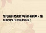 如何鑒別冬蟲夏草的真假視頻（如何鑒別冬蟲夏草的真假）