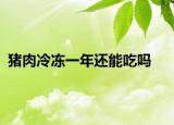 豬肉冷凍一年還能吃嗎