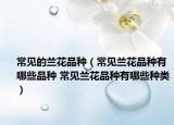 常見的蘭花品種（常見蘭花品種有哪些品種 常見蘭花品種有哪些種類）