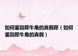如何鑒別犀牛角的真假犀（如何鑒別犀牛角的真假）
