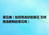 菜花病（如何挑選好的菜花 怎樣挑選新鮮的菜花呢）