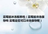 藍莓能冰凍起來嗎（藍莓能冷凍保存嗎 藍莓是否可以冷凍保存呢）
