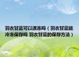 羽衣甘藍(lán)可以速凍嗎（羽衣甘藍(lán)能冷凍保存嗎 羽衣甘藍(lán)的保存方法）
