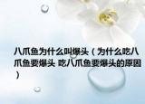 八爪魚為什么叫爆頭（為什么吃八爪魚要爆頭 吃八爪魚要爆頭的原因）