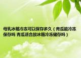 母乳冰箱冷凍可以保存多久（青瓜能冷凍保存嗎 青瓜適合放冰箱冷凍儲存嗎）