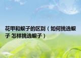 花甲和蜆子的區(qū)別（如何挑選蜆子 怎樣挑選蜆子）