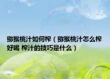獼猴桃汁如何榨（獼猴桃汁怎么榨好喝 榨汁的技巧是什么）