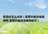 紫蘇葉怎么冷凍（紫蘇葉能冷凍保存嗎 紫蘇葉能冷凍保存的不）