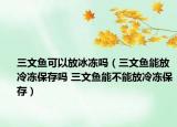 三文魚可以放冰凍嗎（三文魚能放冷凍保存嗎 三文魚能不能放冷凍保存）