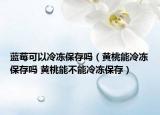 藍(lán)莓可以冷凍保存嗎（黃桃能冷凍保存嗎 黃桃能不能冷凍保存）