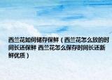 西蘭花如何儲存保鮮（西蘭花怎么放的時間長還保鮮 西蘭花怎么保存時間長還新鮮優(yōu)質(zhì)）