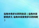 皂角米煮多長(zhǎng)時(shí)間合適（皂角米需要煮多久 皂角米需要煮多長(zhǎng)時(shí)間呢）