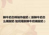 鮮牛奶怎樣制作酸奶（新鮮牛奶怎么做酸奶 如何用新鮮牛奶做酸奶）