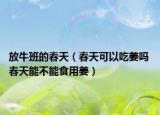放牛班的春天（春天可以吃姜嗎 春天能不能食用姜）