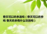 春天可以吃參湯嗎（春天可以吃參嗎 春天吃參有什么功效嗎）