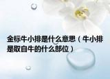 金標牛小排是什么意思（牛小排是取自牛的什么部位）