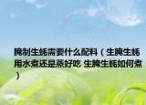 腌制生蠔需要什么配料（生腌生蠔用水煮還是蒸好吃 生腌生蠔如何煮）