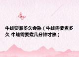 牛蛙要煮多久會熟（牛蛙需要煮多久 牛蛙需要煮幾分鐘才熟）
