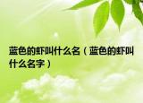 藍色的蝦叫什么名（藍色的蝦叫什么名字）