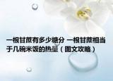 一根甘蔗有多少糖分 一根甘蔗相當(dāng)于幾碗米飯的熱量（圖文攻略）