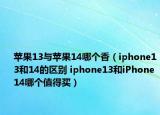 蘋(píng)果13與蘋(píng)果14哪個(gè)香（iphone13和14的區(qū)別 iphone13和iPhone 14哪個(gè)值得買(mǎi)）