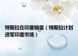 特斯拉在印度銷(xiāo)量（特斯拉計(jì)劃進(jìn)軍印度市場(chǎng)）
