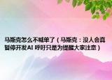 馬斯克怎么不喊單了（馬斯克：沒人會真暫停開發(fā)AI 呼吁只是為提醒大家注意）