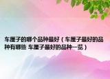 車(chē)?yán)遄拥哪膫€(gè)品種最好（車(chē)?yán)遄幼詈玫钠贩N有哪些 車(chē)?yán)遄幼詈玫钠贩N一覽）