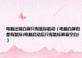 電腦出現(xiàn)白屏只有鼠標(biāo)能動（電腦白屏但是有鼠標(biāo)(電腦啟動后只有鼠標(biāo)屏幕空白)）