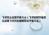 飛書(shū)怎么設(shè)置字體大小（飛書(shū)實(shí)時(shí)字幕怎么設(shè)置飛書(shū)開(kāi)啟視頻會(huì)議字幕方法）