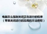 電腦怎么強(qiáng)制關(guān)閉正在運行的程序（蘋果關(guān)閉運行的應(yīng)用的方法教程）