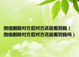 微信刪除對方后對方還能看到我（微信刪除對方后對方還能看到我嗎）