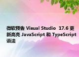 微軟預(yù)告 Visual Studio  17.6 更新高亮 JavaScript 和 TypeScript 語法