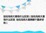 紛玩島和大麥有什么區(qū)別（紛玩島和大麥有什么區(qū)別  紛玩島和大麥網(wǎng)哪個(gè)票多好搶）