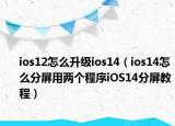 ios12怎么升級ios14（ios14怎么分屏用兩個程序iOS14分屏教程）