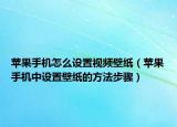 蘋果手機怎么設置視頻壁紙（蘋果手機中設置壁紙的方法步驟）