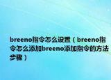 breeno指令怎么設置（breeno指令怎么添加breeno添加指令的方法步驟）
