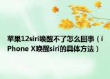 蘋果12siri喚醒不了怎么回事（iPhone X喚醒siri的具體方法）
