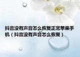 抖音沒有聲音怎么恢復(fù)正常蘋果手機(jī)（抖音沒有聲音怎么恢復(fù)）