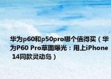 華為p60和p50pro哪個(gè)值得買（華為P60 Pro草圖曝光：用上iPhone 14同款靈動(dòng)島）