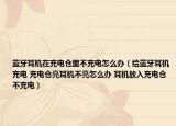 藍(lán)牙耳機(jī)在充電倉(cāng)里不充電怎么辦（給藍(lán)牙耳機(jī)充電 充電倉(cāng)亮耳機(jī)不亮怎么辦 耳機(jī)放入充電倉(cāng)不充電）
