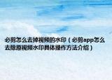 必剪怎么去掉視頻的水印（必剪app怎么去除原視頻水印具體操作方法介紹）