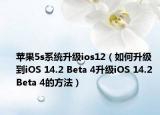 蘋果5s系統(tǒng)升級(jí)ios12（如何升級(jí)到iOS 14.2 Beta 4升級(jí)iOS 14.2 Beta 4的方法）